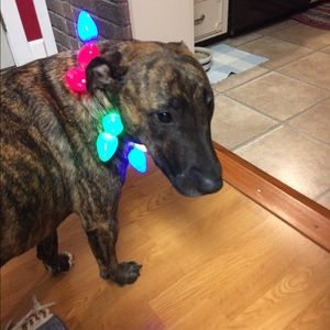 Meet your Posher, Deairee